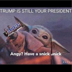 Meet your Posher, Graham